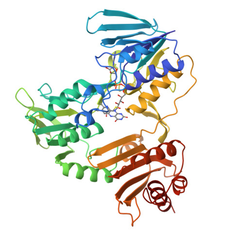 RCSB PDB - 1JOA: NADH PEROXIDASE WITH CYSTEINE-SULFENIC ACID