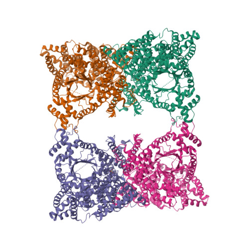 phosphoenolpyruvate structure