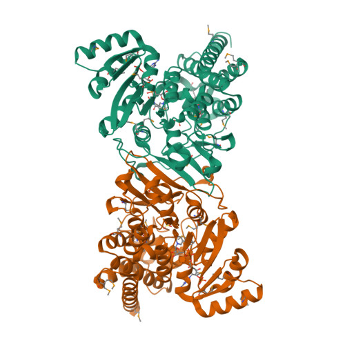 1-deoxy-D-xylulose 5-phosphate reductoisomerase structure