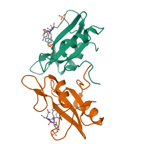 RCSB PDB - 1JYQ: Xray Structure of Grb2 SH2 Domain Complexed with a ...