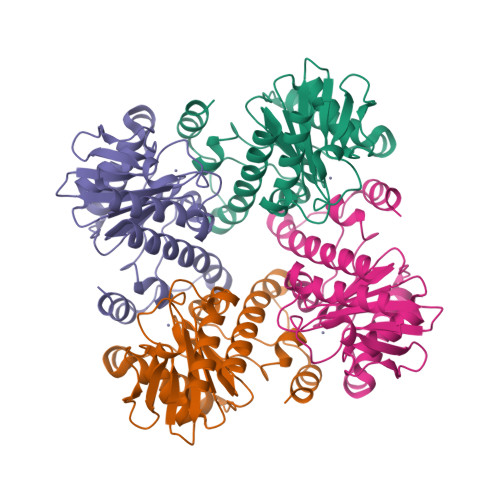  The RNA-DNA Nexus - Page 2 1k0w_assembly-1