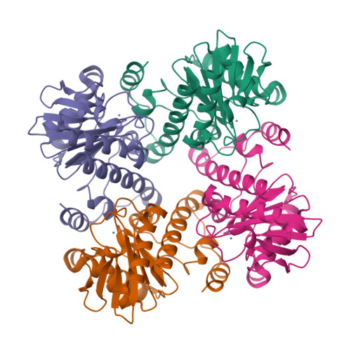  The RNA-DNA Nexus - Page 2 1k0w_assembly-1