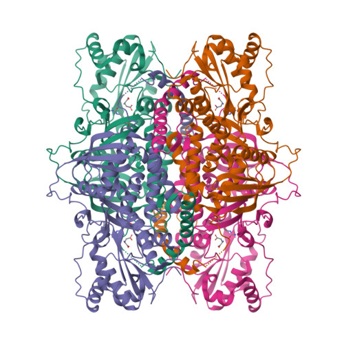 RCSB PDB - 1K97: Crystal Structure Of E. Coli Argininosuccinate ...