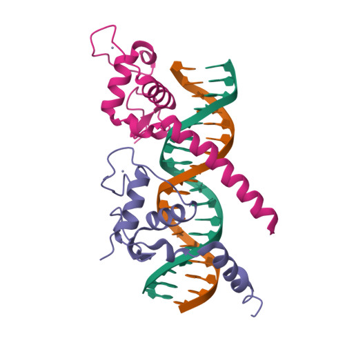 RCSB PDB - 1KB6: Crystal Structure Of VDR DNA-binding Domain Bound To ...