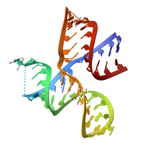 Rcsb Pdb 1kh6 Crystal Structure Of An Rna Tertiary Domain Essential To Hcv Ires Mediated