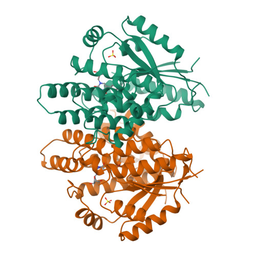 Rcsb Pdb 1ki4 Crystal Structure Of Thymidine Kinase From Herpes Simplex Virus Type I Complexed With 5 Bromothienyldeoxyuridine