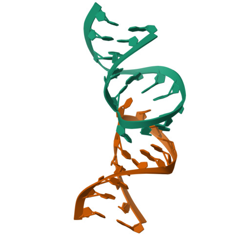 RCSB PDB - 1KIS: TAR-TAR 