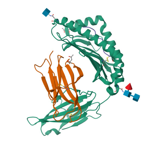 RCSB PDB 1KPU High Resolution Crystal Structure Of The MHC Class I Complex H 2Kb VSV8