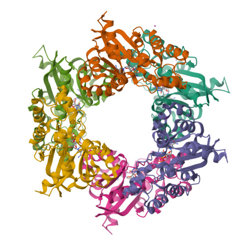 RCSB PDB - 1KQN: Crystal structure of NMN/NaMN adenylyltransferase ...