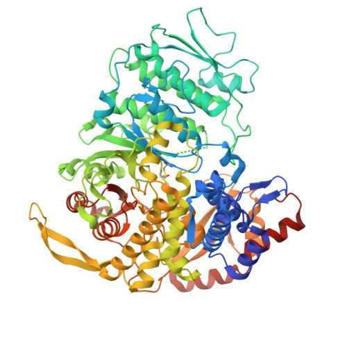 RCSB PDB - 1L1L: CRYSTAL STRUCTURE OF B-12 DEPENDENT (CLASS II 