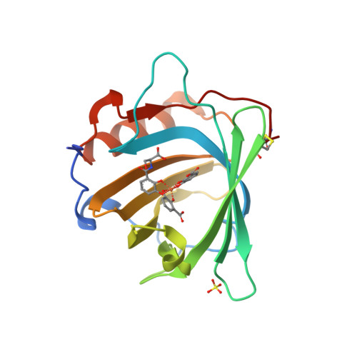 Schematic of neutrophil gelatinase–associated lipocalin (NGAL) cellular