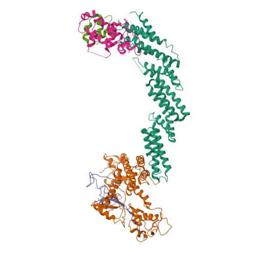 RCSB PDB - 1LDK: Structure of the Cul1-Rbx1-Skp1-F boxSkp2 SCF ...