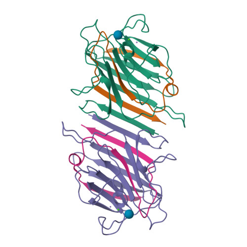 Rcsb Pdb 1lem The Monosaccharide Binding Site Of Lentil Lectin An X