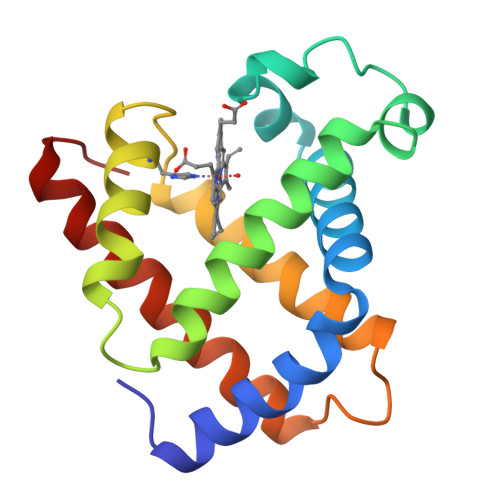 RCSB PDB - 1LHS: LOGGERHEAD SEA TURTLE MYOGLOBIN (AQUO-MET)