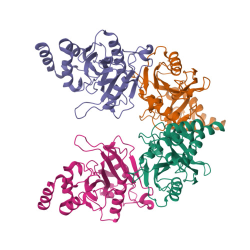 PDB 1M1L