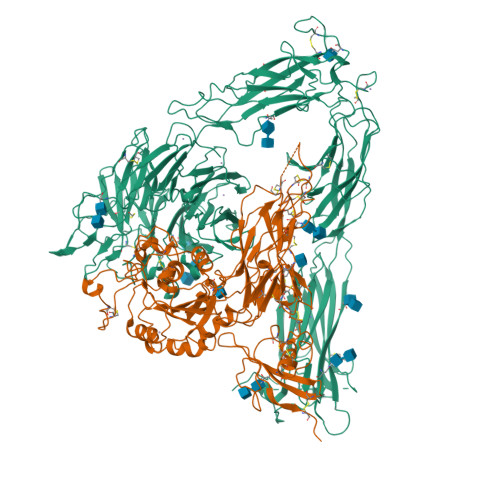 Rcsb Pdb 1m1x Crystal Structure Of The Extracellular Segment Of Integrin Alpha Vbeta3 Bound 7193