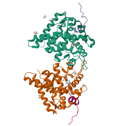 RCSB PDB - 1M2Z: Crystal structure of a dimer complex of the human  glucocorticoid receptor ligand-binding domain bound to dexamethasone and a  TIF2 coactivator motif