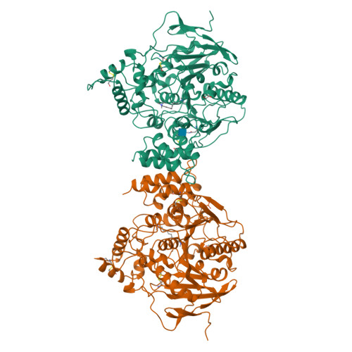 RCSB PDB - 1MAA: MOUSE ACETYLCHOLINESTERASE CATALYTIC DOMAIN ...