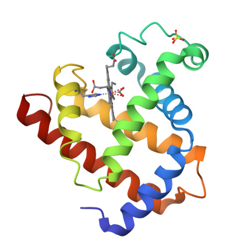 RCSB PDB - 1MBC: X-RAY STRUCTURE AND REFINEMENT OF CARBON-MONOXY (FE II ...