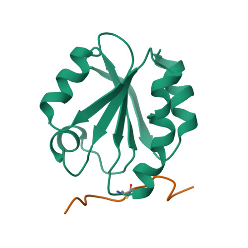 PDB 1MDI
