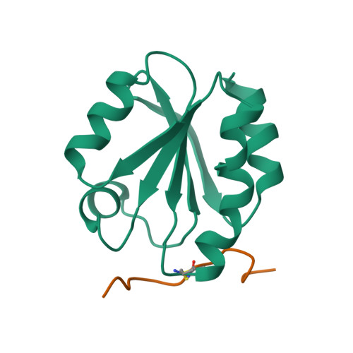 RCSB PDB - 1MDJ: HIGH RESOLUTION SOLUTION NMR STRUCTURE OF MIXED