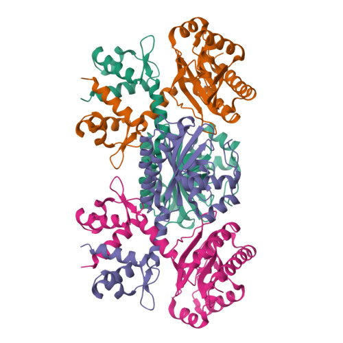 RCSB PDB - 1MKM: CRYSTAL STRUCTURE OF THE THERMOTOGA MARITIMA ICLR