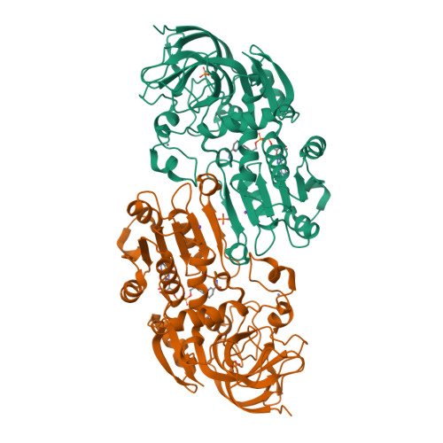 glutathione singapore buy Glutathione Complex