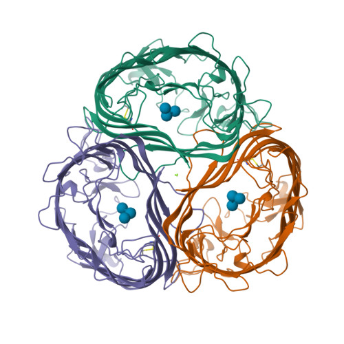 RCSB PDB - 1MPN: MALTOPORIN MALTOTRIOSE COMPLEX