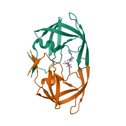 RCSB PDB - 1MSN: The HIV protease (mutant Q7K L33I L63I V82F I84V