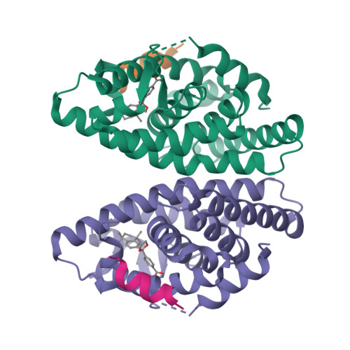 RCSB PDB - 1MVC: Crystal structure of the human RXR alpha ligand 