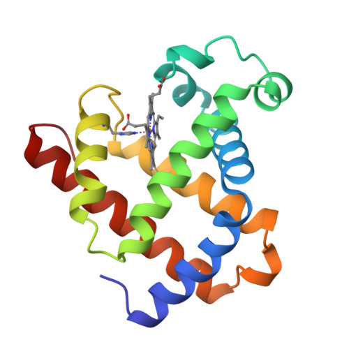 RCSB PDB - 1MWD: WILD TYPE DEOXY MYOGLOBIN