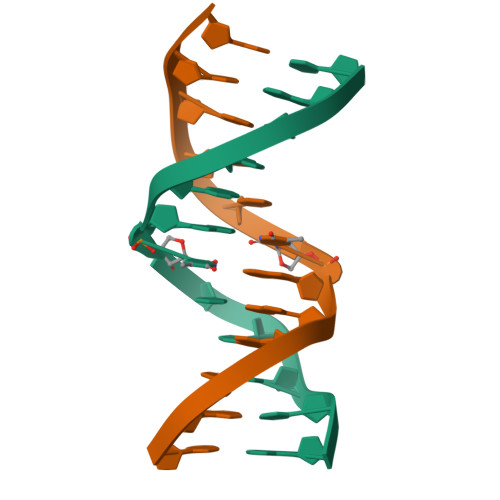 RCSB PDB - 1N1O: Crystal Structure of a B-form DNA Duplex Containing (L ...