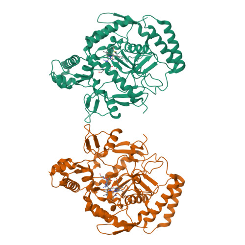 RCSB PDB - 1N2N: Crystal structure of cyanide complex of the 