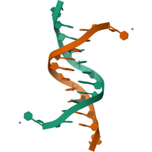 RCSB PDB - 1N5C: Crystal Structure Analysis Of The B-DNA Dodecamer ...