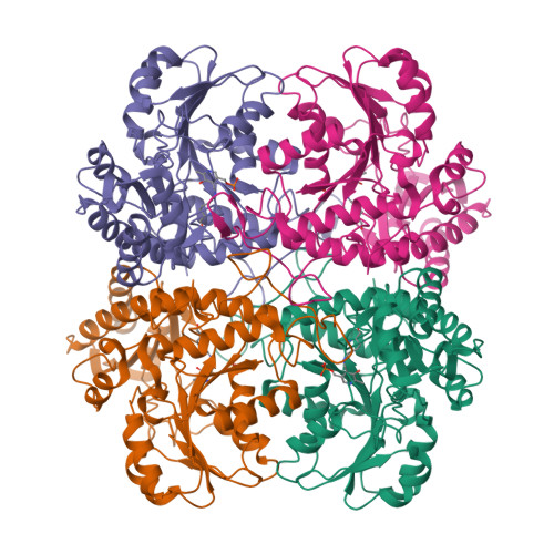 Rcsb Pdb - 1n8p: Crystal Structure Of Cystathionine Gamma-lyase From Yeast