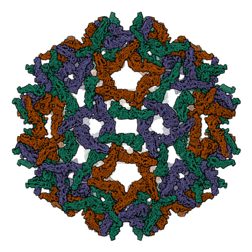 yellow fever virus 3d model