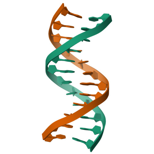 RCSB PDB - 1NAJ: High resolution NMR Structure Of DNA Dodecamer ...