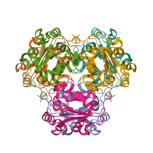 Rcsb Pdb 1ndc X Ray Structure Of Nucleoside Diphosphate Kinase Complexed With Dtdp And Mg2