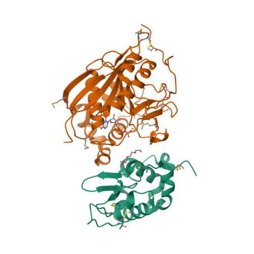 lactase enzyme structure