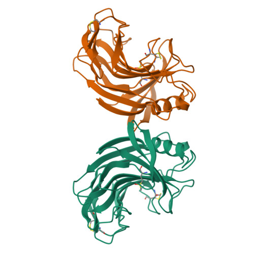 RCSB PDB - 1NLR: ENDO-1,4-BETA-GLUCANASE CELB2, CELLULASE, NATIVE STRUCTURE