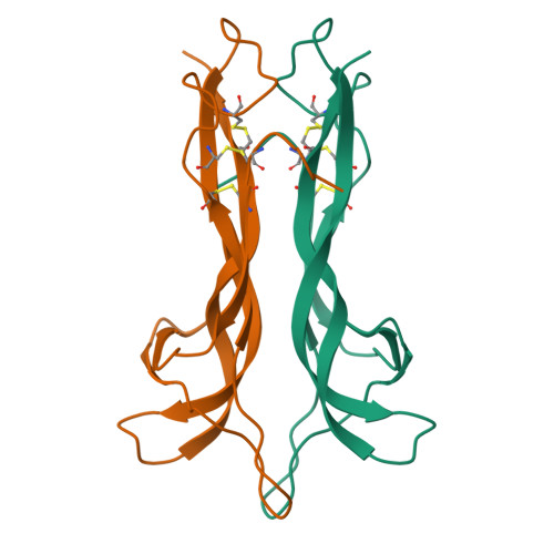 RCSB PDB - 1NT3: HUMAN NEUROTROPHIN-3