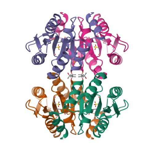 RCSB PDB - 1O1X: Crystal Structure Of A Ribose 5-phosphate Isomerase ...