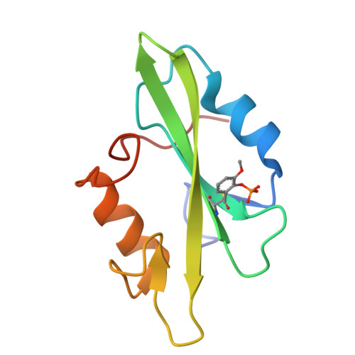 RCSB PDB - 1O41: CRYSTAL STRUCTURE OF SH2 IN COMPLEX WITH RU78300.