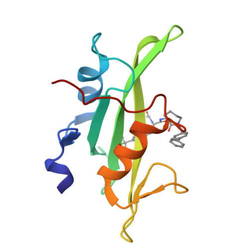 RCSB PDB - 1O47: CRYSTAL STRUCTURE OF SH2 IN COMPLEX WITH RU82209.