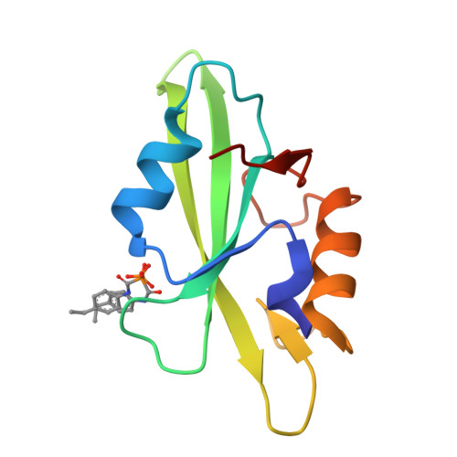 RCSB PDB - 1O4J: CRYSTAL STRUCTURE OF SH2 IN COMPLEX WITH ISO24.