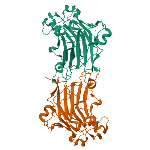 RCSB PDB - 1O4Z: THE THREE-DIMENSIONAL STRUCTURE OF BETA-AGARASE B FROM ...