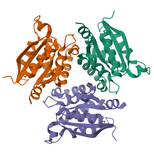 RCSB PDB - 1O8N: The Active Site Of The Molybdenum Cofactor ...