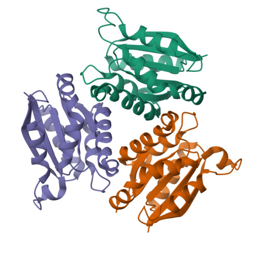 RCSB PDB - 1O8Q: The active site of the molybdenum cofactor ...