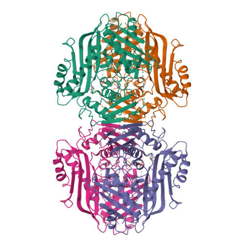 S-adenosylmethionine synthase isoform type-1 structure