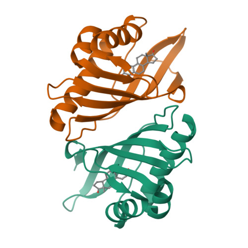 RCSB PDB - 1OH0: CRYSTAL STRUCTURE OF KETOSTEROID ISOMERASE